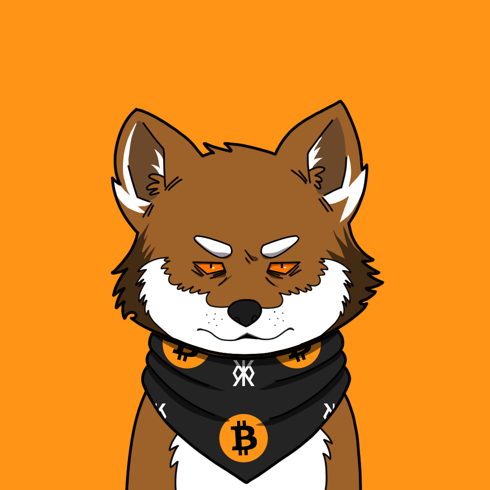 LOBO OG PFP